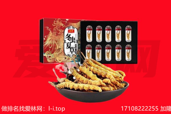 兴安盟回收虫草.jpg